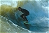 (03-06-04) Surfing at BHP - James Thompson & Robert Hall